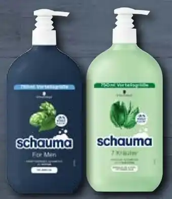 Aldi Nord Schauma shampoo Angebot