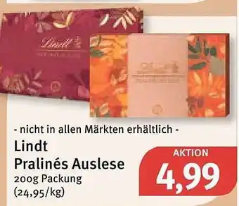 Feneberg Lindt pralinés auslese Angebot