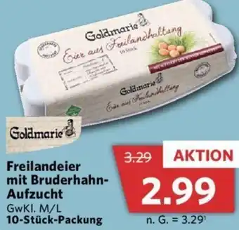 Combi Goldmarie Freilandeier mit Bruderhahn Aufzucht 10 Stück Packung Angebot