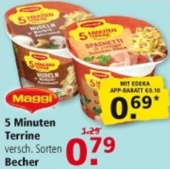 Multi Markt Maggi 5 Minuten Terrine Angebot
