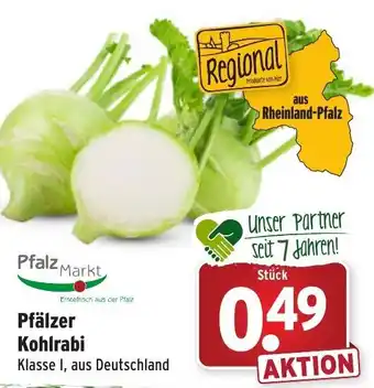 Wasgau Pfälzer Kohlrabi Angebot