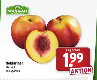 Wasgau Nektarinen 1kg Angebot