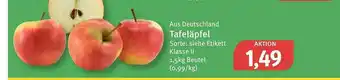 Feneberg Tafeläpfel Angebot