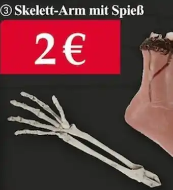 Woolworth Skelett Arm mit Spieß Angebot