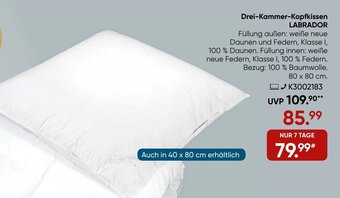 Galeria Sleepwell Drei Kammer Kopfkissen Labrador Angebot