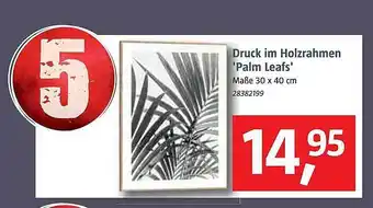 Bauhaus Druck im holzrahmen „palm leafs“ Angebot