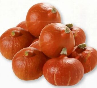 Nah & Frisch Speisekürbis hokkaido Angebot
