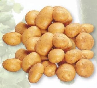 Nah & Frisch Speisekartoffeln princess Angebot