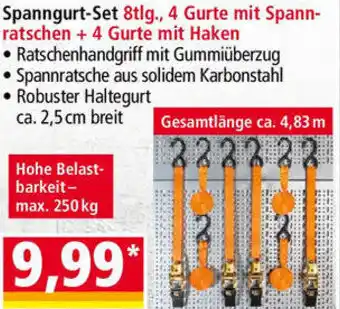 Norma Spanngurt Set 8tlg. Angebot