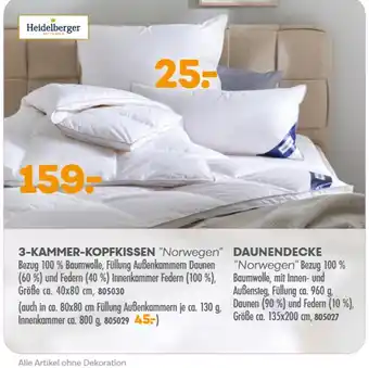 Möbel Kraft Heidelberger 3-kammer-kopfkissen "norwegen" oder daunendecke Angebot