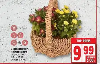 Edeka Bepflanzter henkelkorb Angebot