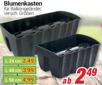 CENTERSHOP Blumenkasten Angebot