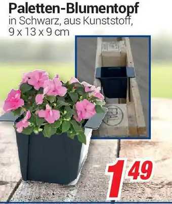 CENTERSHOP Paletten Blumentopf Angebot