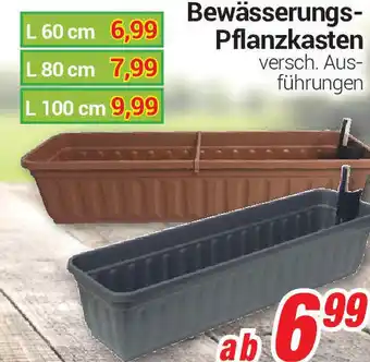 CENTERSHOP Bewässerungs Pflanzkasten Angebot