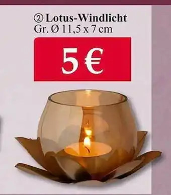 Woolworth Lotus-windlicht Angebot