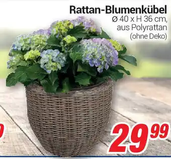 CENTERSHOP Rattan Blumenkübel Angebot