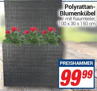 CENTERSHOP Polyrattan Blumenkübel Angebot