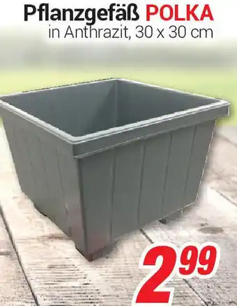 CENTERSHOP Pflanzgefäß Polika Angebot