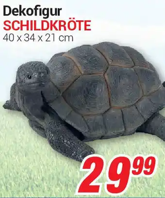 CENTERSHOP Dekofigur Schildkröte Angebot