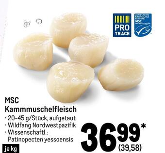 METRO Msc kammmuschelfleisch Angebot