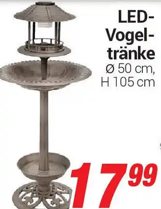 CENTERSHOP Led Vogeltränke Angebot