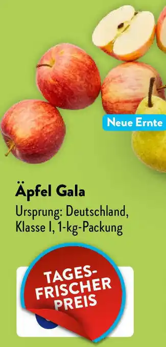 Aldi Süd Äpfel Gala 1 kg Packung Angebot