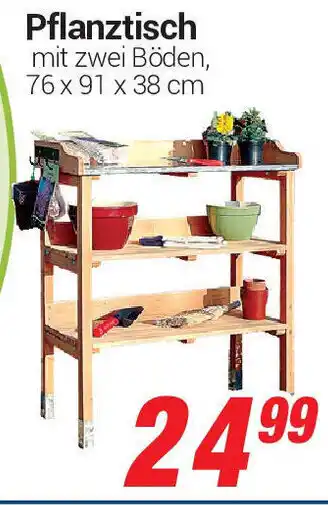 CENTERSHOP Pflanztisch Angebot