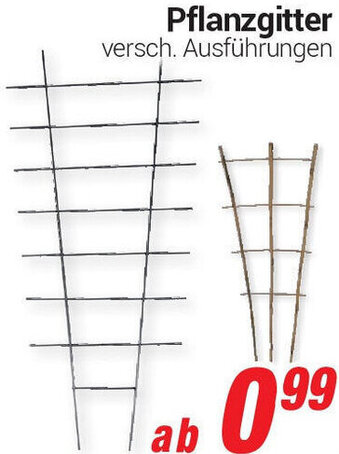 CENTERSHOP Pflanzgitter Angebot