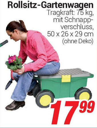 CENTERSHOP Rollsitz Gartenwagen Angebot