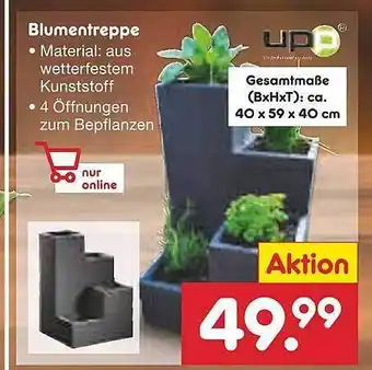 Netto Marken-Discount Blumentreppe Angebot