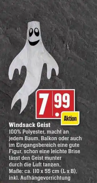 Scheck-in-Center Windsack geist Angebot