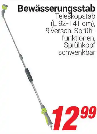 CENTERSHOP Bewässerungsstab Angebot