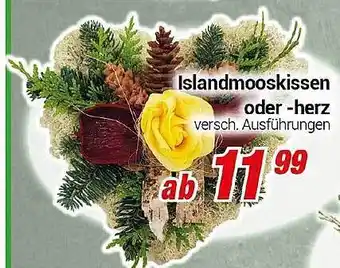 CENTERSHOP Lslandmooskissen oder herz Angebot