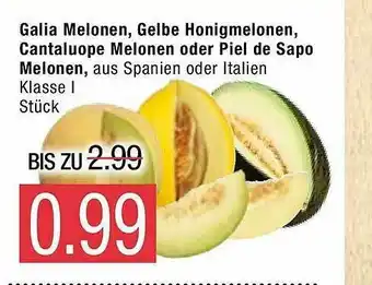 Marktkauf Galia Melonen, Gelbe Honigmelonen, Cantaloupe Melonen Oder Piel De Sapo Melonen Angebot