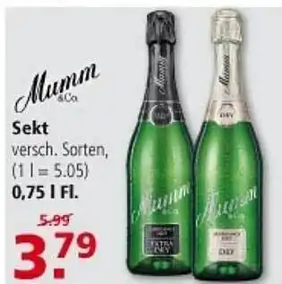 Multi Markt Mumm sekt Angebot