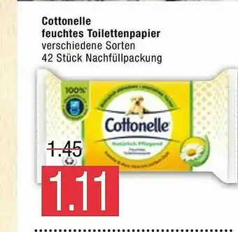 Marktkauf Cottonelle Feuchtes Toielettenpapier Angebot