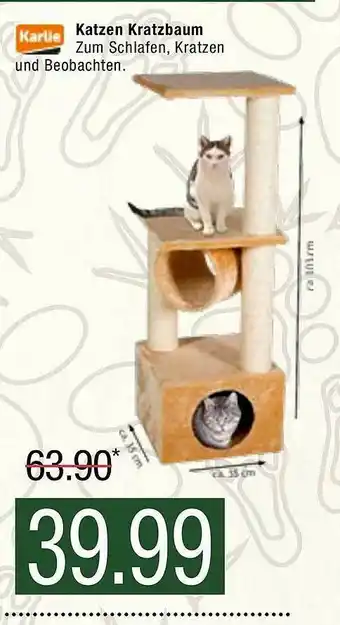 Marktkauf Karlie Katzen Kratzbaum Angebot