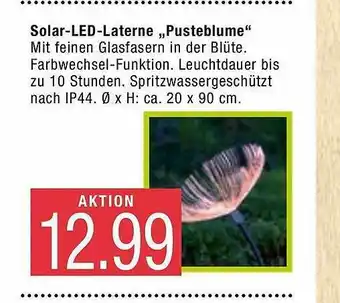 Marktkauf Solar Led-laterne „pusteblume” Angebot