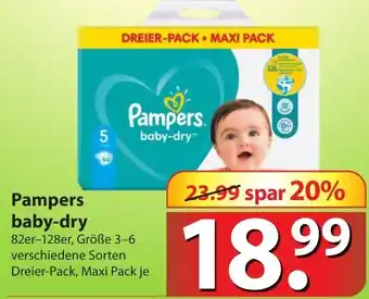 Famila Nord Ost Pampers Baby Dry Angebot