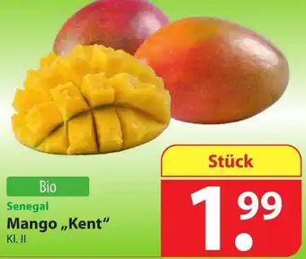 Famila Nord Ost Mango Kent Angebot