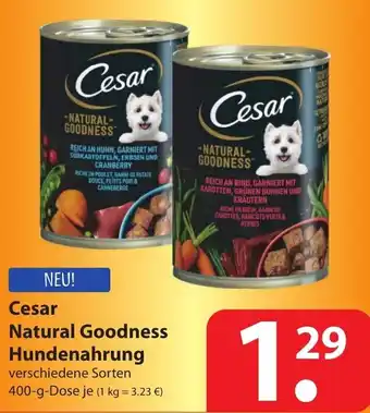 Famila Nord Ost Cesar Natural Goodness Hundenahrung 400g Angebot