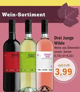 Aktiv Irma Drei junge wilde Angebot