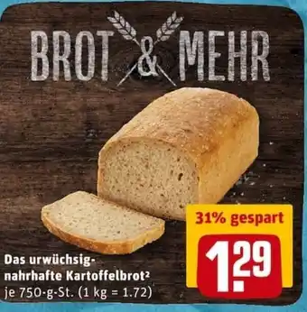 REWE City Das urwüchsig. nahrhafte Kartoffelbrot 750g Angebot