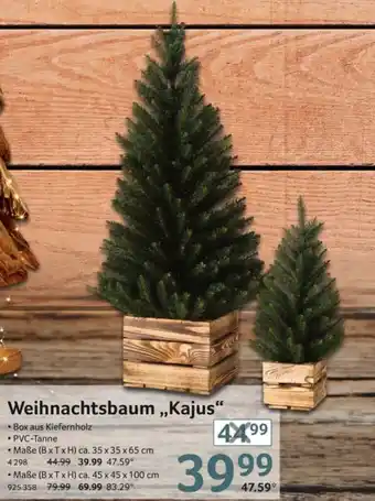 Selgros Weihnachtsbaum Kajus Angebot