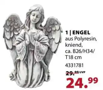 Dehner Engel Angebot