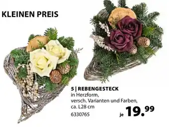 Dehner Rebengesteck Angebot