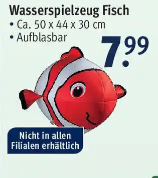 Rossmann Wasserspielzeug Fisch Angebot