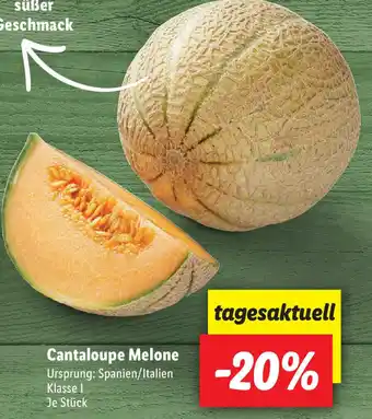 Lidl Cantaloupe Melone Angebot