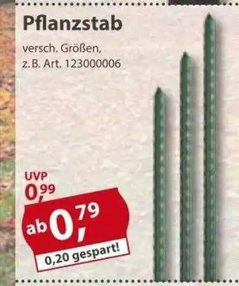 Sonderpreis Baumarkt Pflanzstab Angebot