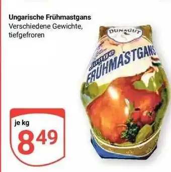 Globus Ungarische frühmastgans Angebot